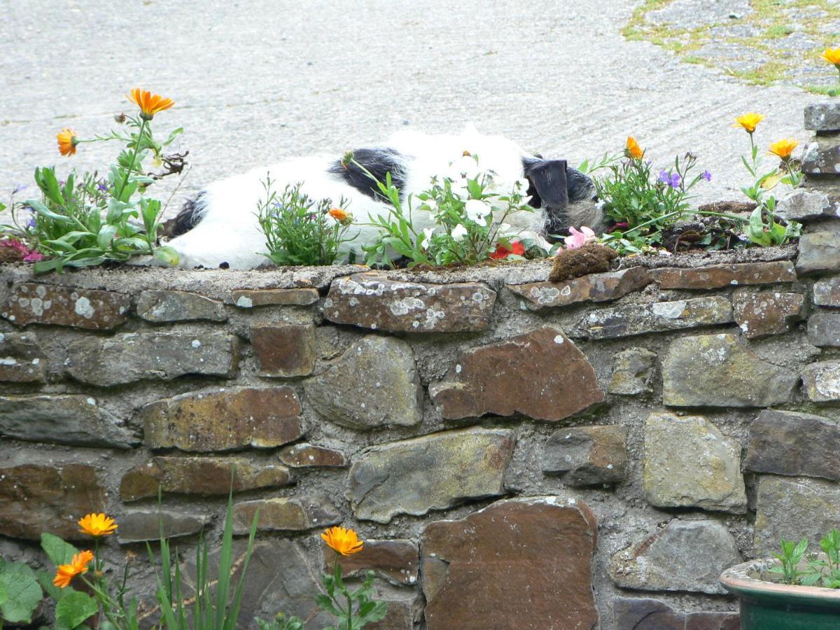 Old Keepers Cottage Bideford Exterior foto